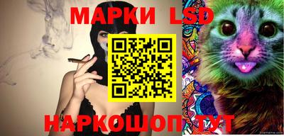 СК Донецк