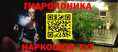 СК Донецк