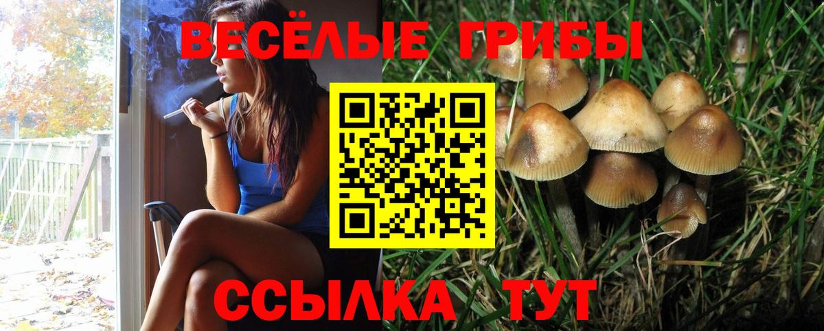Псилоцибиновые грибы Psilocybine cubensis  Галлюциногенные грибы мицелий  наркошоп  Вход с VPN  Лениногорск 